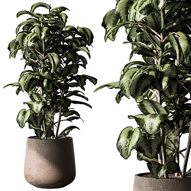 Freshen Your Space With Aglaonema 3D model image 1 