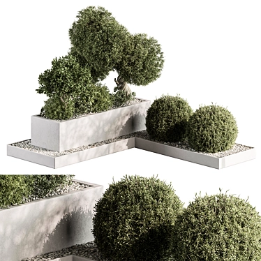 Outdoor Garden Box Plants 3D model image 1 