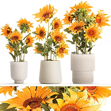 Title: Sunflower Collection in Concrete Planters 3D model image 1 