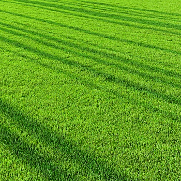 Pro Landscaping Grass Bundle 3D model image 1 