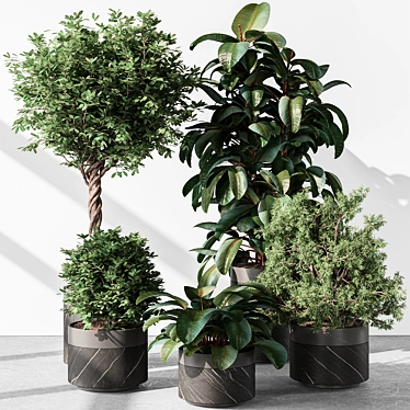  Tree in Pot: Indoor Plant 3D model image 1 