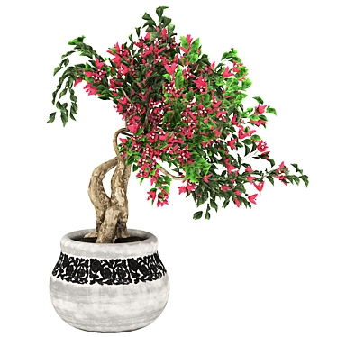 Bougainvillea Tree Pot 3D Model 3D model image 1 