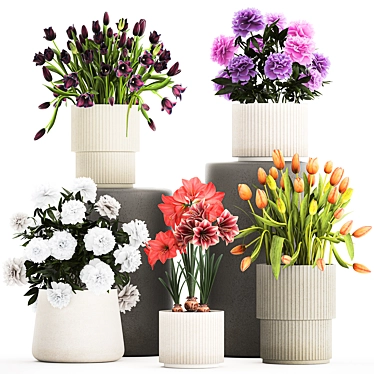 Garden flowers in pots and flowerpots Peonies, Tulips Hippeastrum. Plant collection 1308