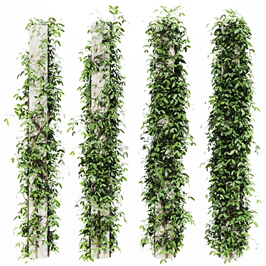 Vibrant Ivy Plants Collection - 3DMax 2015 3D model image 1 