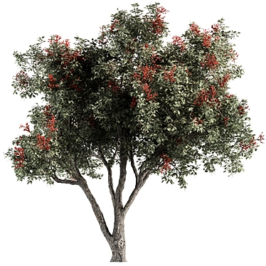 European Mountain Ash Tree Set 3D model image 1 