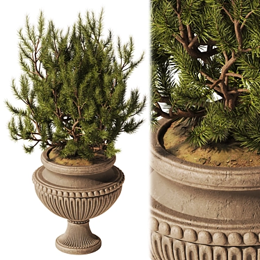 Classic Vase with Pine Decor 3D model image 1 