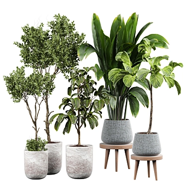 Lively Indoor Plant Collection 3D model image 1 