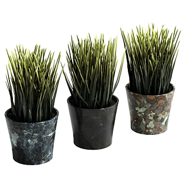 UV Unwrapped Indoor Plants Set 3D model image 1 