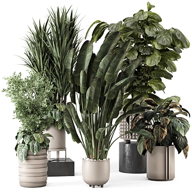 Stylish Indoor Plants Set 1552 3D model image 1 