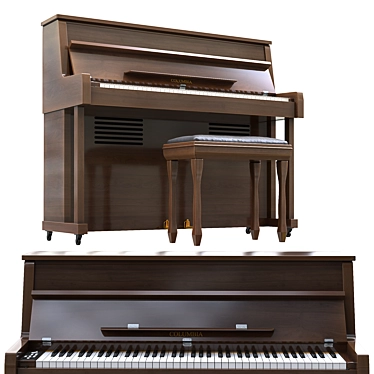 Elegant Columbia 2015 Piano Model 3D model image 1 