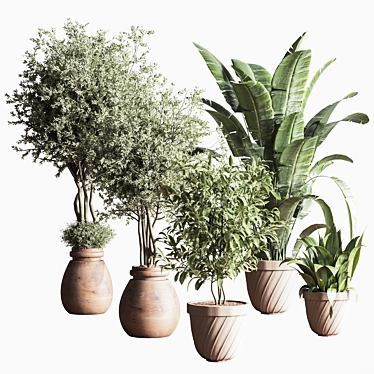 Minimalistic Indoor Plant Set 3D model image 1 