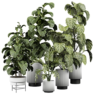 Botanical Bliss Indoor Plant 3D model image 1 