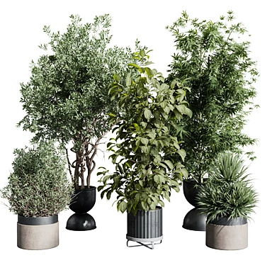 Zen Oasis Plant Trio Set 3D model image 1 