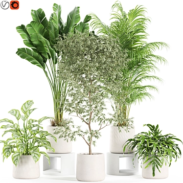 Eco Plant Collection: 607732 Polys 3D model image 1 