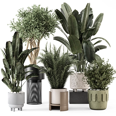  Stylish Indoor Plants Set 3D model image 1 