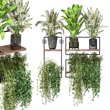 Metal Shelf Indoor Plants Set 3D model image 1 