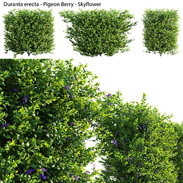 Complete 3D Plant Models Collection 3D model image 1 