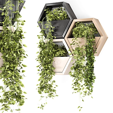 Indoor Hanging Petus Plants Set 3D model image 1 