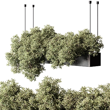 Title: Hanging Indoor Plant 555 3D model image 1 