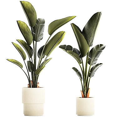 Exotic Tropical Plant Collection 3D model image 1 