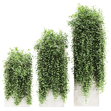 Russian Plants Set 3D Model 3D model image 1 