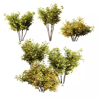 HD Small Bush Variety Pack 3D model image 1 