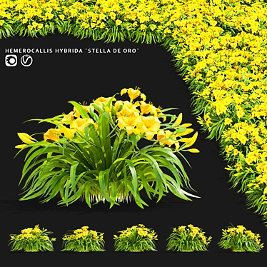 Stella De Oro Daylily Set 3D model image 1 