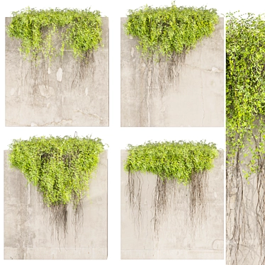 High-Quality Ivy Plant Model 3D model image 1 