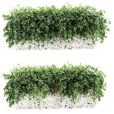 3D Plants Set 61 Bundle 3D model image 1 