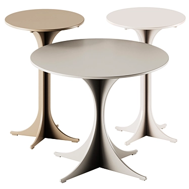 Minotti ANISH Metal Coffee Tables 3D model image 1 