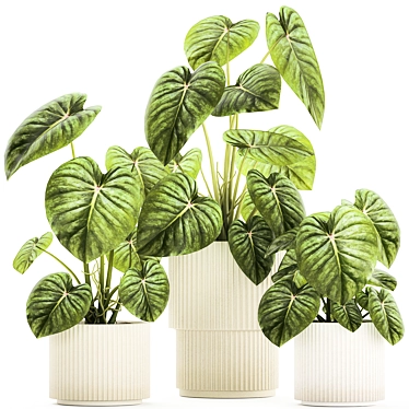 Exotic Anthurium Crystal Plant Set 3D model image 1 