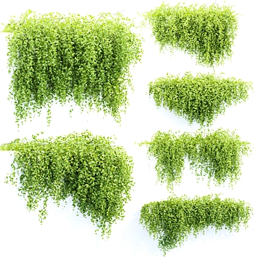 Creeper Plants Collection Vol. 225 3D model image 1 