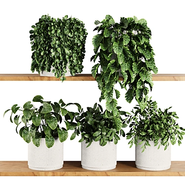 Modern Plant Shelf Display Set 3D model image 1 