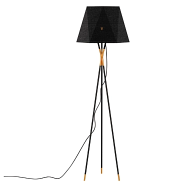 Designer Floor Lamp Trinagar Lighting 3D model image 1 