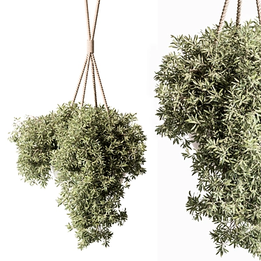 Botanical Beauty Hanging Plant 3D model image 1 