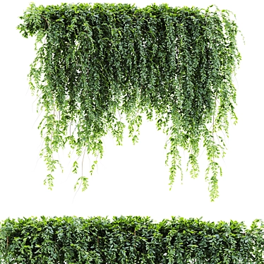 Lush Ivy Plants Pack 3D model image 1 