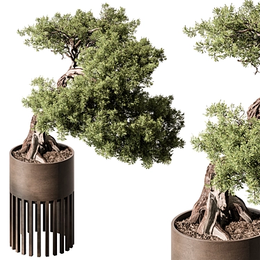 Bonsai Beauty: Indoor Plant 564 3D model image 1 