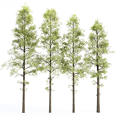 High-Quality Pine Trees Collection 3D model image 1 