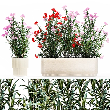 Modern White Planter Rose & Red Oleander Set 3D model image 1 