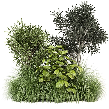 Corona Outdoor Bush Plants Set 3D model image 1 