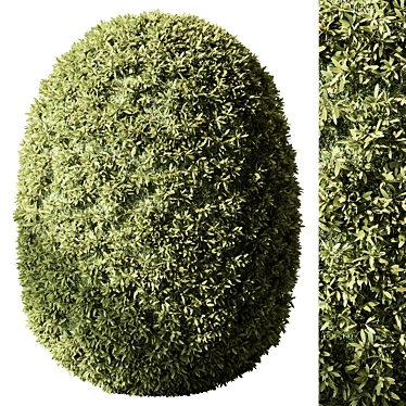 Trimmed Ball Bush Set 122 3D model image 1 