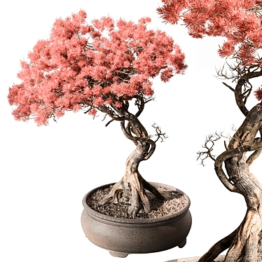 Pink Flower Bonsai Indoor Plant 3D model image 1 