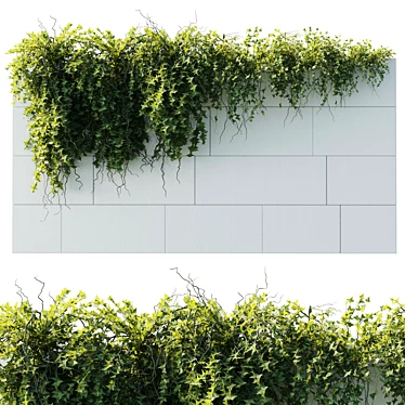 Outdoor Ivy Wall Plant Set 3D model image 1 