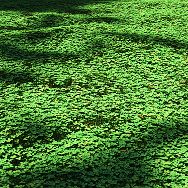 Lush Clover Lawn Asset Kit 3D model image 1 