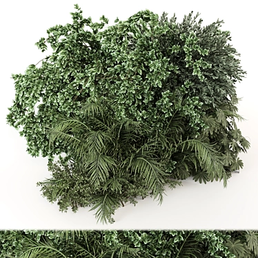 Outdoor Bush Set 1667 Render 3D model image 1 