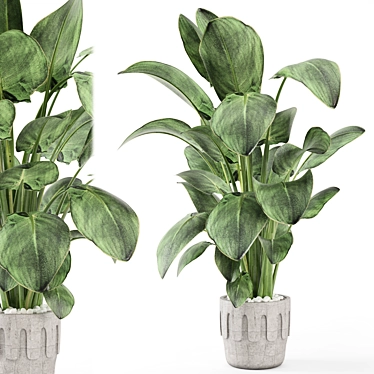 Handmade Indoor Plants Set 1671 3D model image 1 