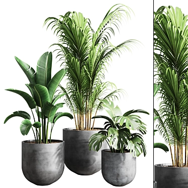 Greenery Bliss Indoor Plants 3D model image 1 