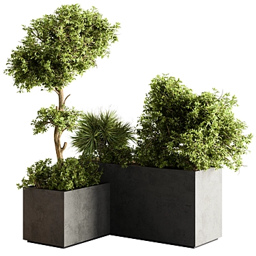 Outdoor Plants Box 559 3D model image 1 