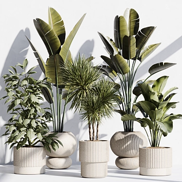 indoor plant set 73