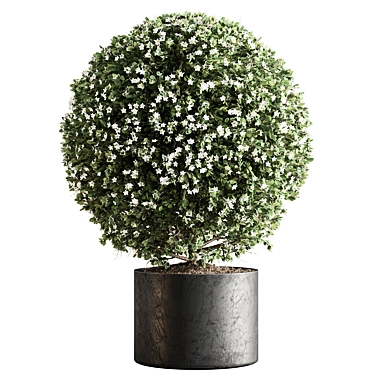 Topiary Ball Indoor Plant Symbol 3D model image 1 